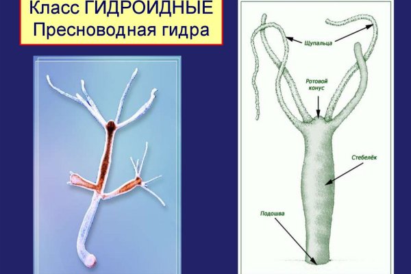 Кракен портал