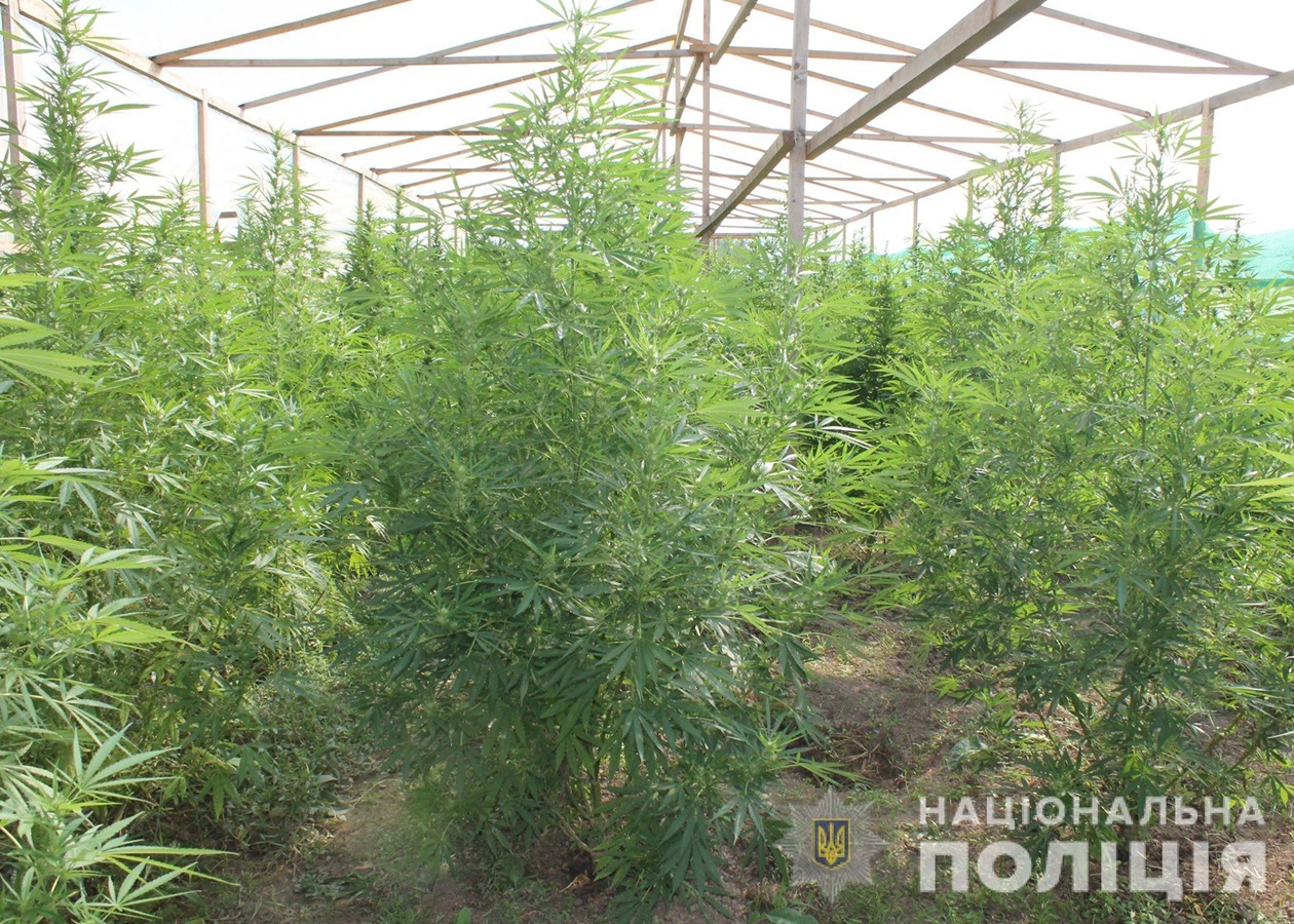 Кракен маркетплейс ссылка тг